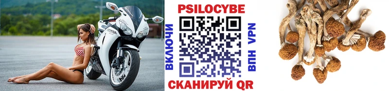 Псилоцибиновые грибы MAGIC MUSHROOMS  Балей 